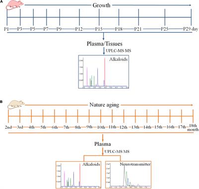 Dynamic Changes of Endogenic or Exogenic β-Carboline Alkaloid Harmine in Different Mammals and Human in vivo at Developmental and Physiological States